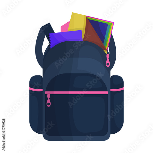 School bag vector icon.Cartoon vector icon isolated on white background school bag.