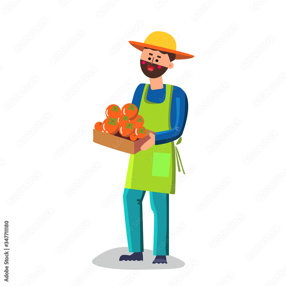 Man Holding Box With Persimmon Character Vector Man Holding Box With Persimmon Character Vector