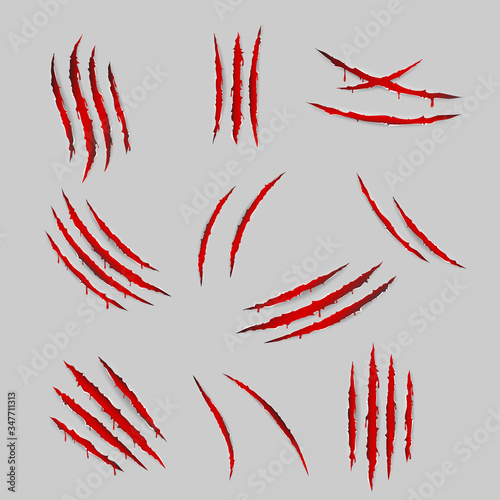 Bleeding scratches monster animal claws torn material blood set isolated design vector illustration