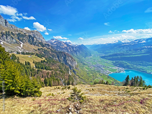 Subalpine valley Seeztal and lake Walensee, between the mountain ranges of Churfirsten and Glarus Alps, Walenstadtberg - Canton of St. Gallen, Switzerland (Kanton St. Gallen, Schweiz) photo