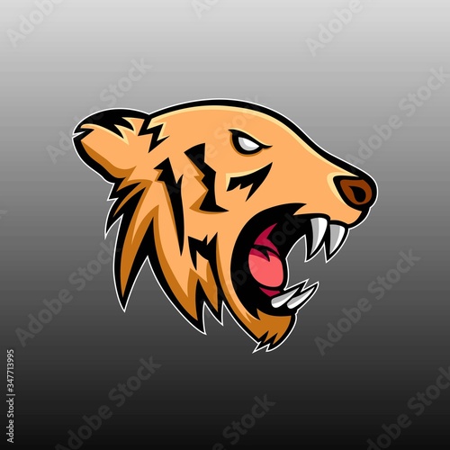 Tiger head mascot vector design