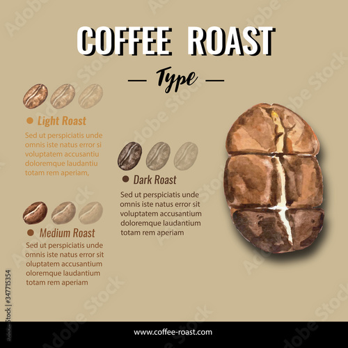 coffee arabica roast beans burn type, infographic design with text space, watercolor illustration