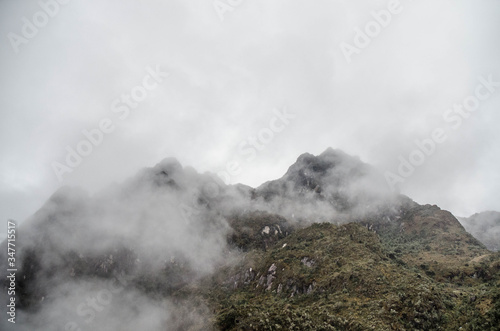 The alternative route of Hydroelectric turns out to be a pleasant way in the forest to get to Machu Picchu