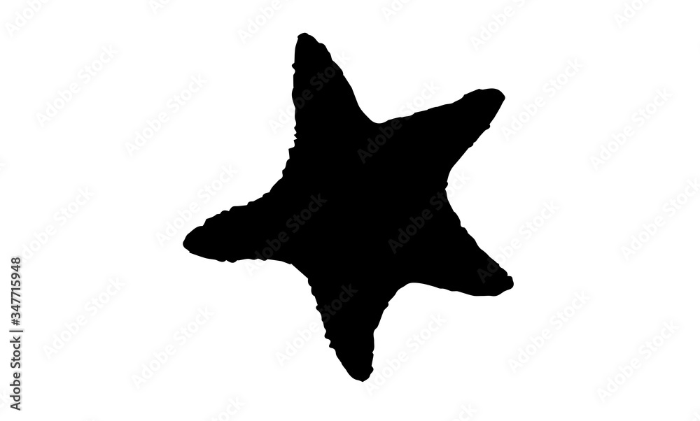 Starfish silhouette on white background Starfish silhouette on white background