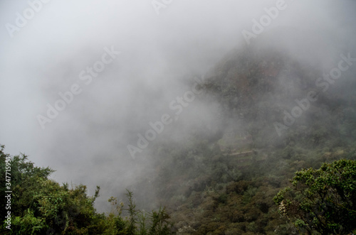 The alternative route of Hydroelectric turns out to be a pleasant way in the forest to get to Machu Picchu © vincenzo