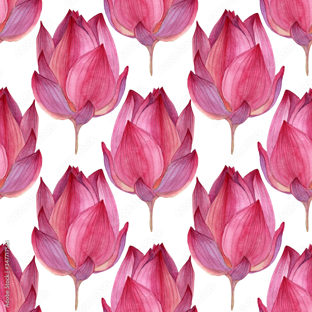 Seamless pattern with watercolor hand-drawn pink and purple bud button flower lotus on white background art creative textile wrapping