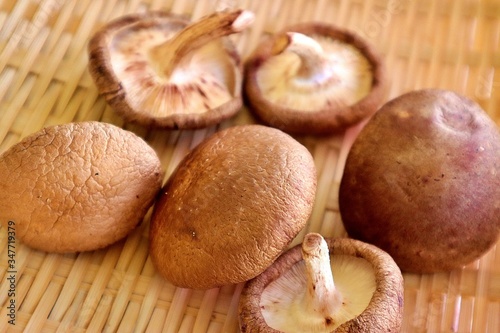 Shiitake mushrooms are dried in the sun for the soup stock.