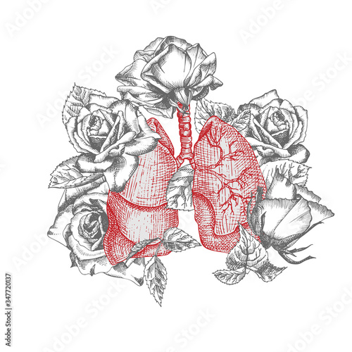 Lungs with bouquet roses Realistic hand-drawn icon of human internal organ and flower frame. Engraving art. Sketch style. Design concept for medical projects post viral rehabilitation posters, tattoos