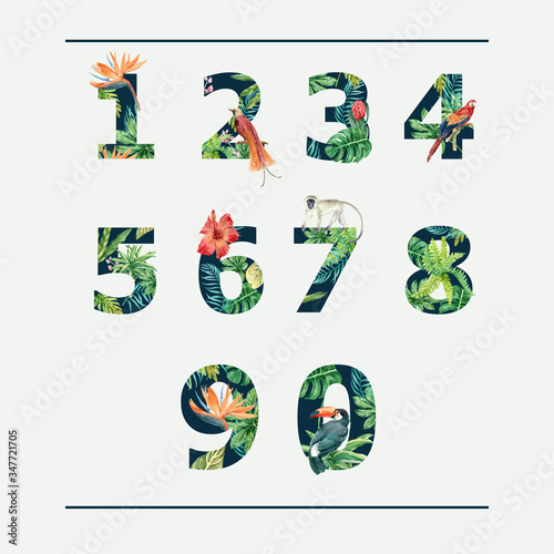 Number Tropical Alphabet typographic design summer with plants foliage, creative watercolor vector illustration design