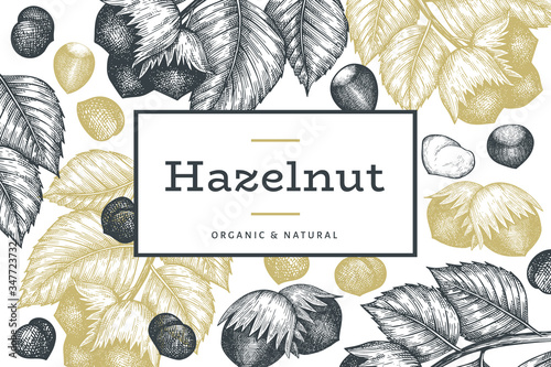 Hand drawn sketch hazelnut design template. Organic food vector illustration on white background. Vintage nut illustration. Engraved style botanical background.