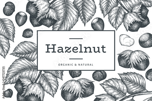 Hand drawn sketch hazelnut design template. Organic food vector illustration on white background. Vintage nut illustration. Engraved style botanical background.