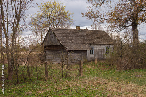 Abandoned old wooden house among the trees. Rural spring landscape.