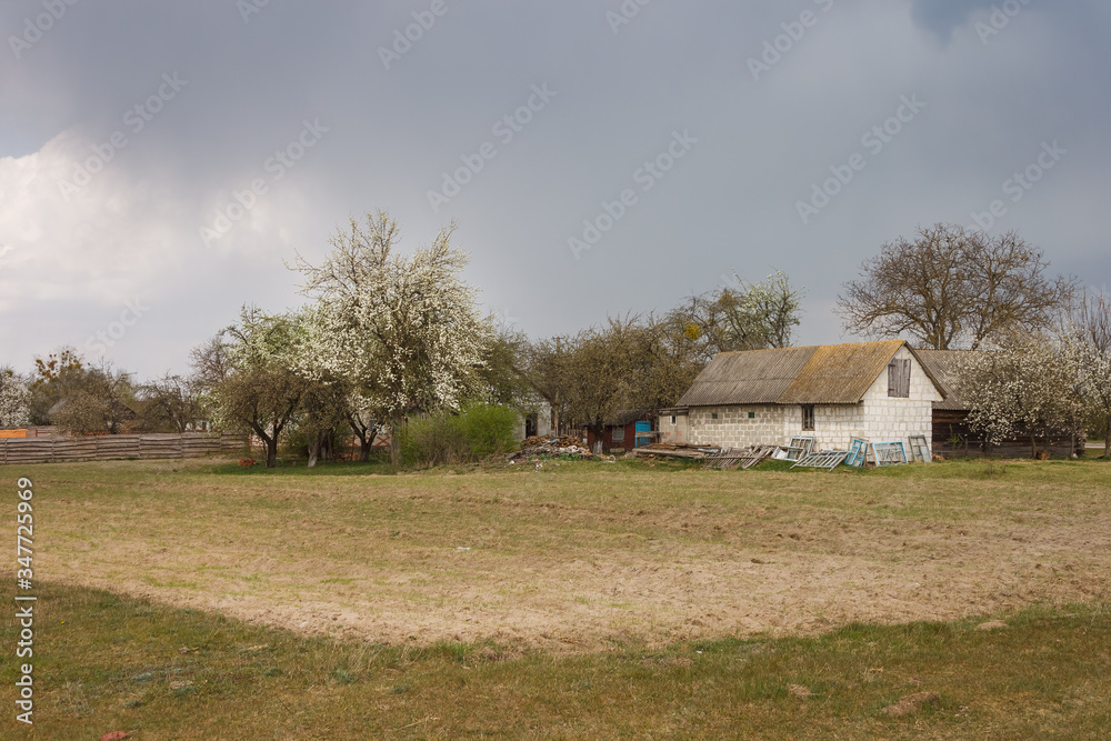 Rural landscape with houses and flowering trees on a background of gloomy stormy sky. Spring