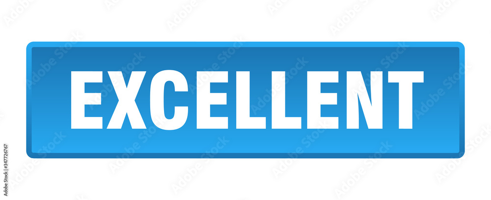 excellent button. excellent square blue push button