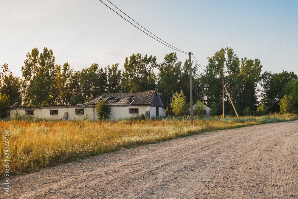 The ruins of an old house among among the green trees and tall grass is illuminated by the sunset. Rural landscape.