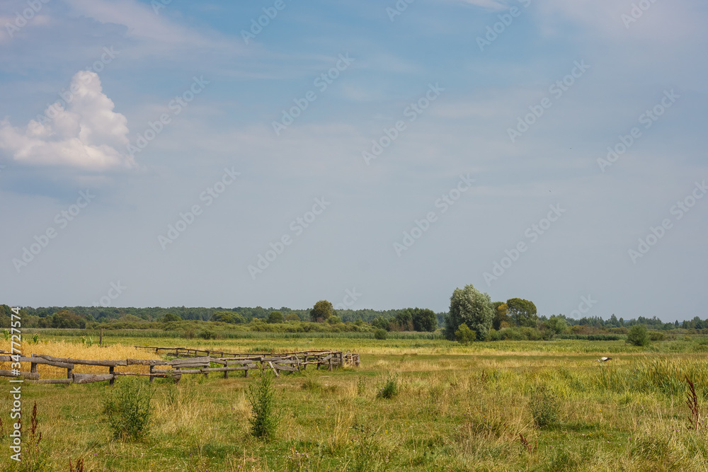 View of meadow with field, forest on horizon and beautiful sky with clouds. Summer landscape. View of meadow with field, forest on horizon and beautiful sky with clouds. Summer landscape.