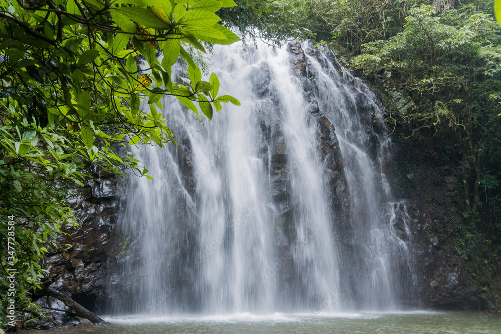 Fototapeta premium Long exposure of waterfall in tropical rainforest with palm and green leaves. Jungle cascade. Australia.