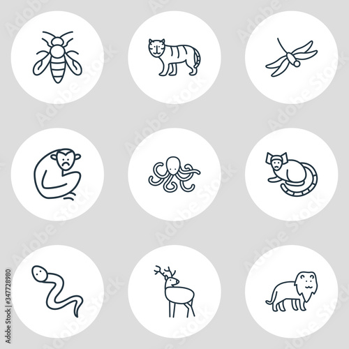 Canvas-taulu Vector illustration of 9 zoo icons line style