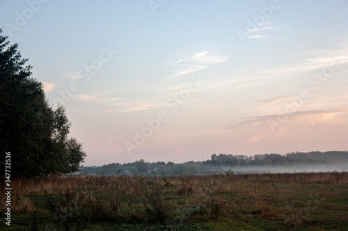 View of a lonely tree in a field in the fog of dawn. The fog on horizon. Green grass and dry bushs on the meadow on sunrise.