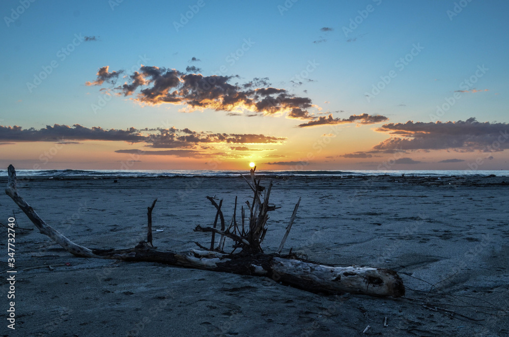 spring summer sunset with branch background dragged by storm