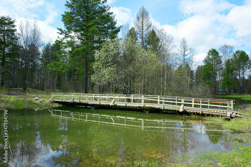 wooden bridge over a small lake in the spring forest