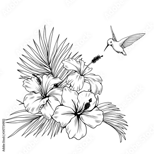 Composition with hibiscus, palm leaves and hummingbird. Vector botanical illustration