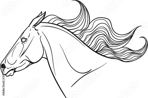Horse portrait coloring page