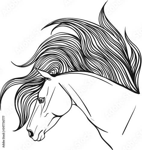 Horse portrait coloring page