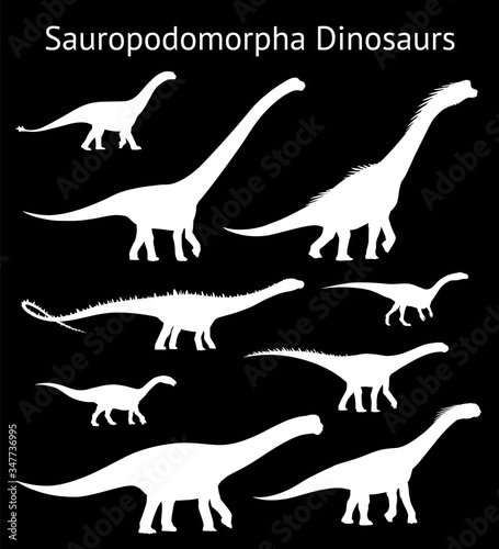 Silhouettes of sauropodomorpha dinosaurs. Set. Side view. Monochrome vector illustration of white silhouettes of dinosaurs isolated on black background. Sauropoda. Proportional dimensions.