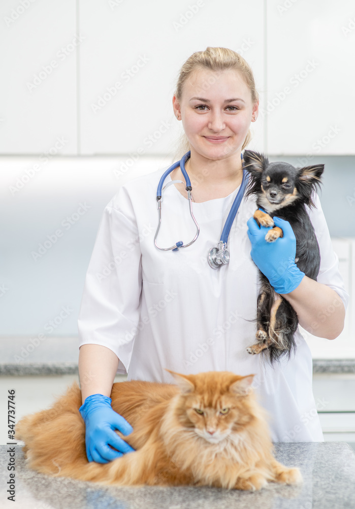 Portrait of a smiling veterinarian doctor with dog and cat in a vet clinic