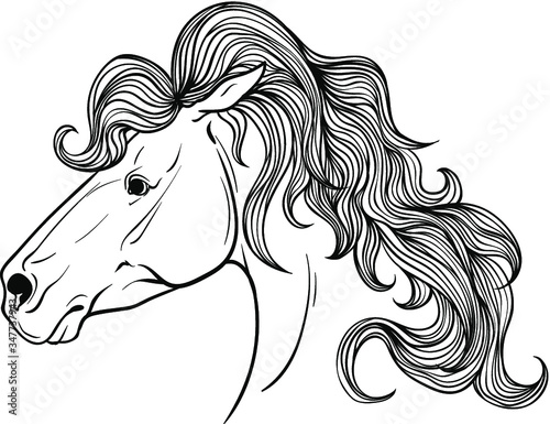 Horse portrait coloring page