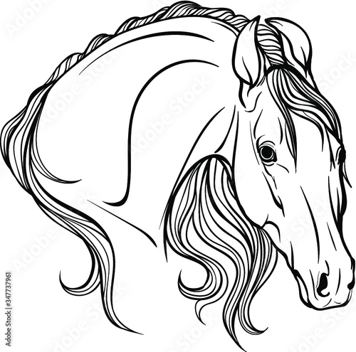 Horse portrait coloring page