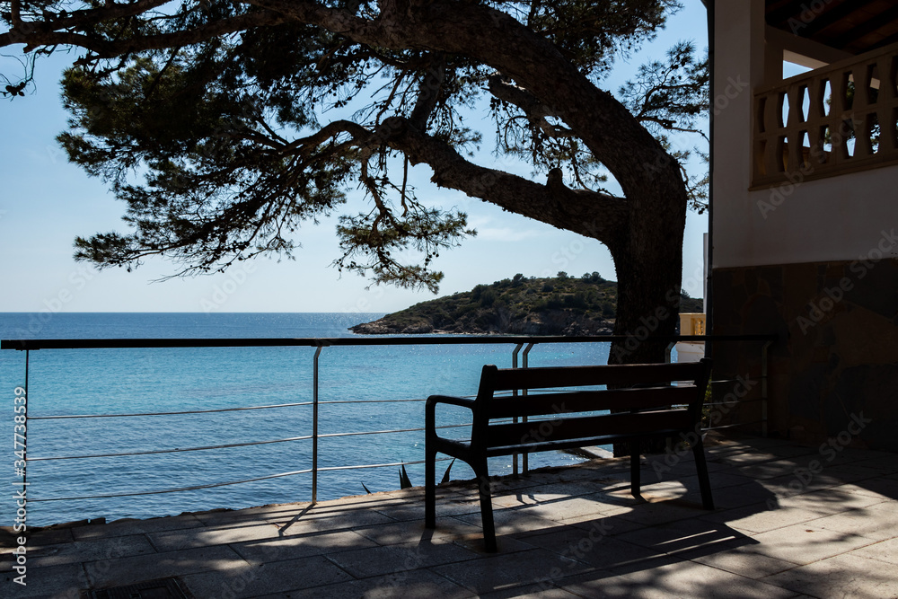 beautiful bench under a big tree with view to the coastline of sant elm, mallorca, spain