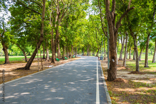Running track with shade under the trees in public park in summer with green nature background.