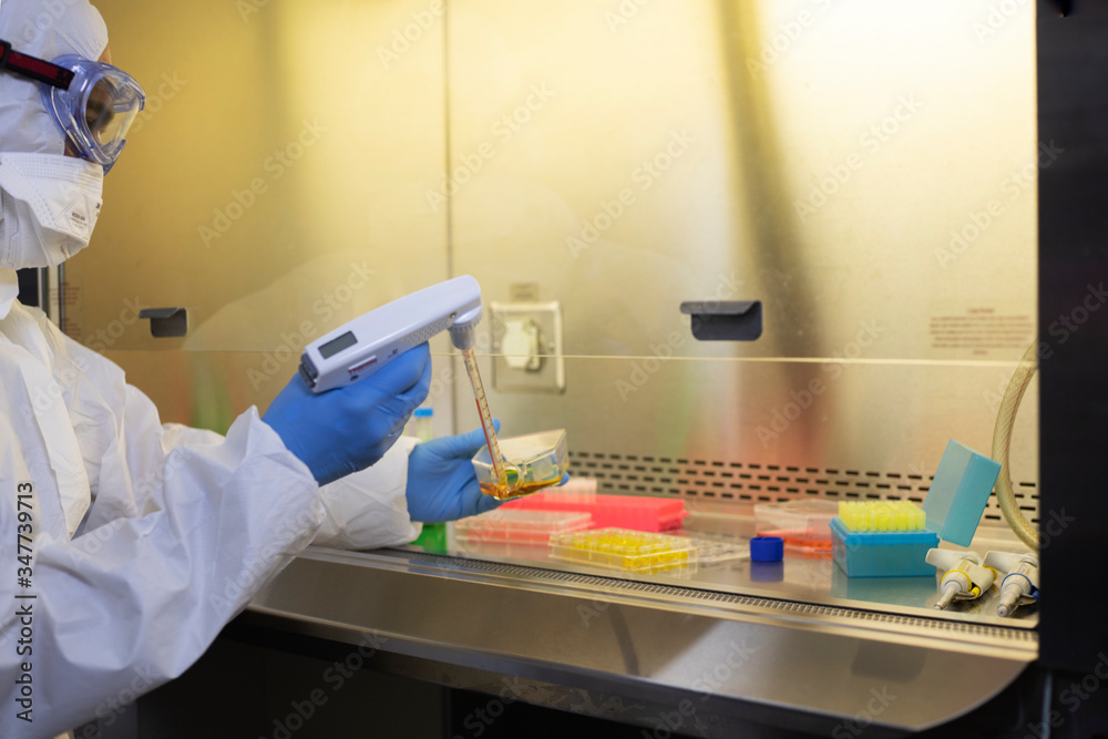 Save to Board scientist COVID-19 in a clean room ,Coronavirus,Blood research,Scientist's Laboratory,Research lab,Analyzing a blood sample in test tube at laboratory with microscope. Medical, pharmace
Save to Board scientist COVID-19 in a clean room ,Coronavirus,Blood research,Scientist's Laboratory,Research lab,Analyzing a blood sample in test tube at laboratory with microscope. Medical, pharmace