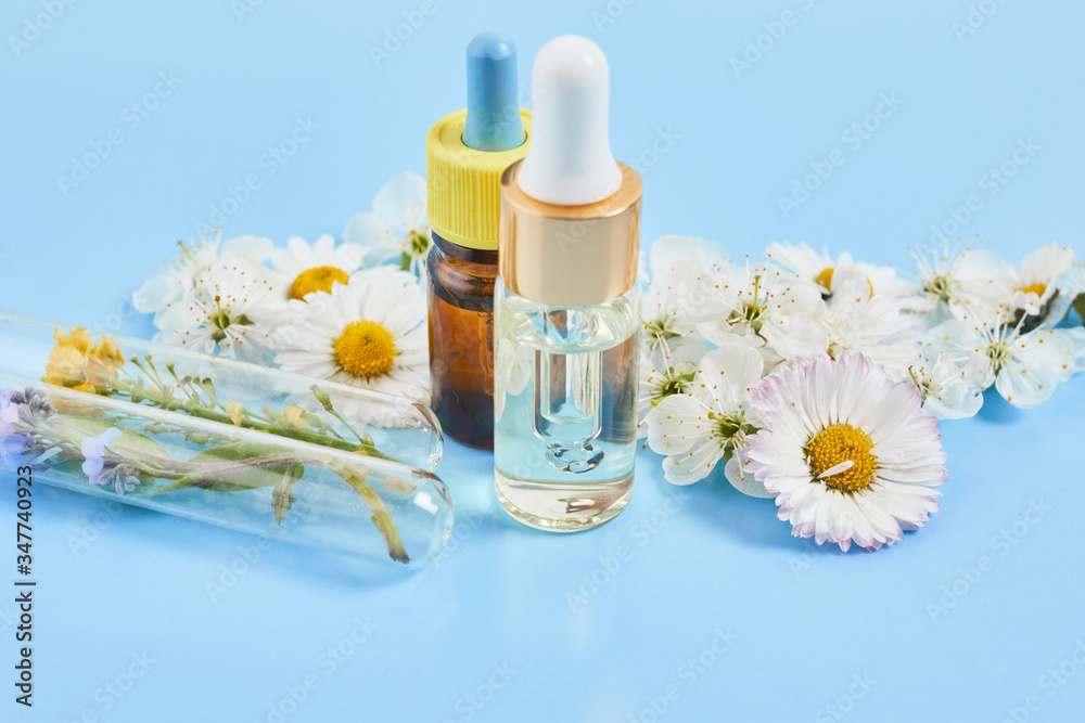 Natural cosmetics with herbal ingredients. Skin and body care serum with Flowers and plants in test tubes. Concept herbal medicine Natural cosmetics with herbal ingredients. Skin and body care serum with Flowers and plants in test tubes. Concept herbal medicine
