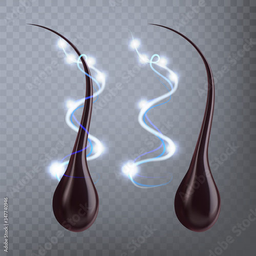 Human Hair Follicle Protective Effect Vector. Hair With Bulb Root Protein Filament That Grows From Follicles Found In Dermis. Shampoo Treatment And Care Template Realistic 3d Illustration