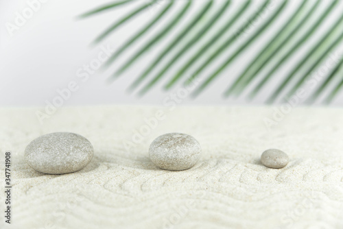 Canvas Print Zen garden
