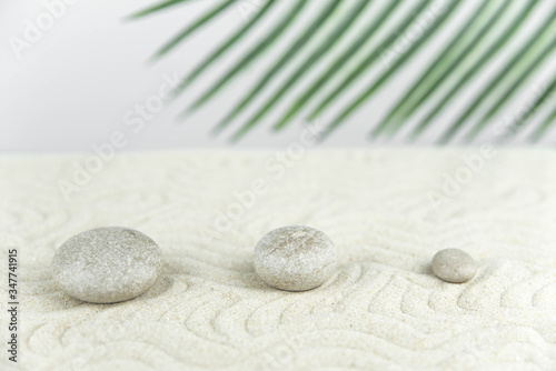 Canvas Print Zen garden