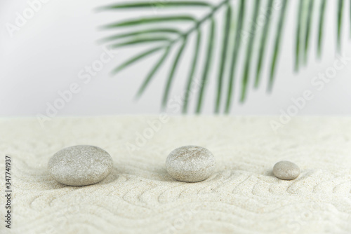 Photography Zen garden