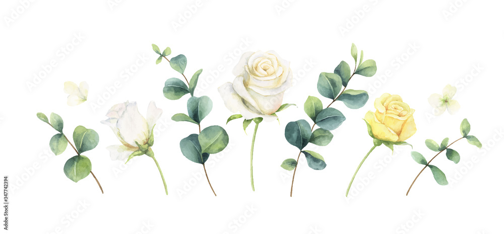 Watercolor vector set with green eucalyptus leaves and roses.