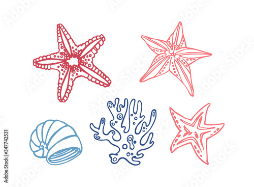 Sea shell, stars, coral and mollusk. Set of marine reef hand-drawn vector illustration. 