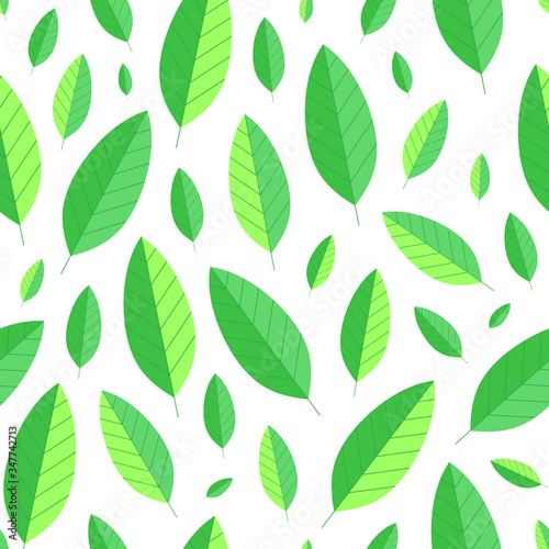 Seamless leaf pattern on white. Green leaves background