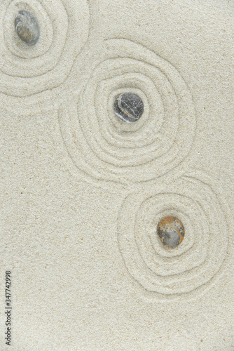Canvas Print Zen garden