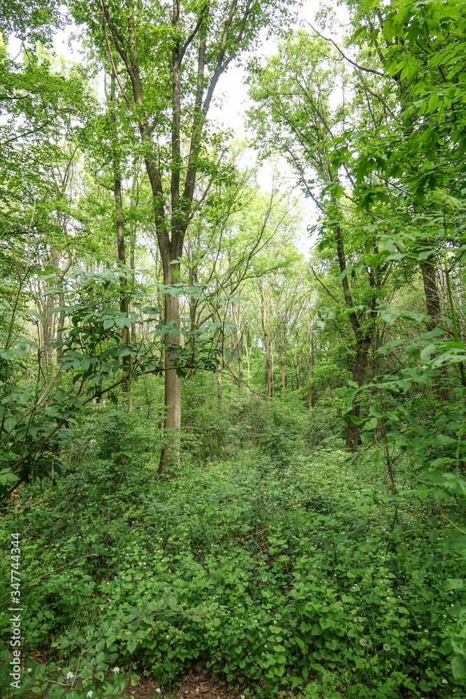 Obraz premium Der Meerbusch