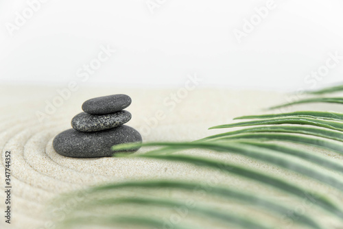 Photography Zen garden