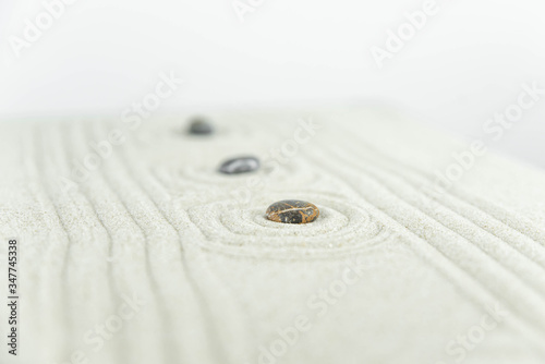 Canvas Print Zen garden