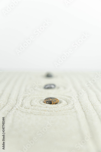 Canvas Print Zen garden