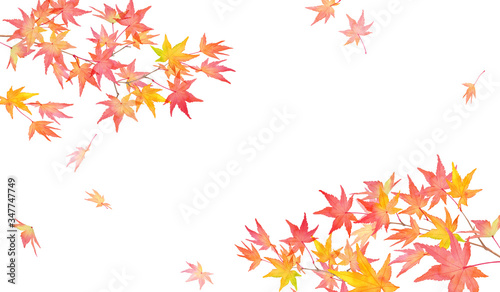 赤く色づいた秋の紅葉の枝と落葉。水彩イラスト。２隅装飾フレームデザイン。