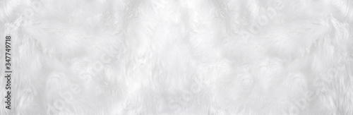 Wide animal white wool sheep background in top view light natural. Grey fluffy seamless cotton panoramic texture. Wrinkled lamb fur coat skin, rug mat raw material,  fleece woolly textile concept